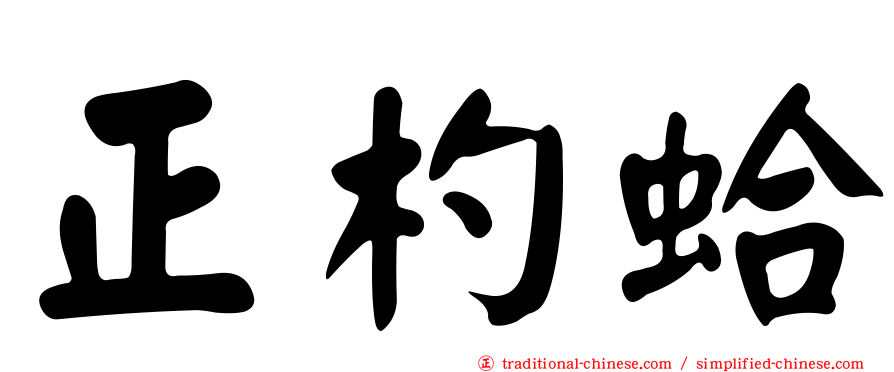 正杓蛤