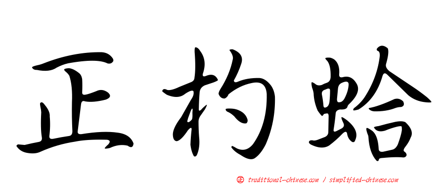 正杓蛤