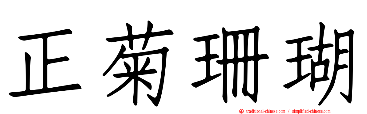 正菊珊瑚