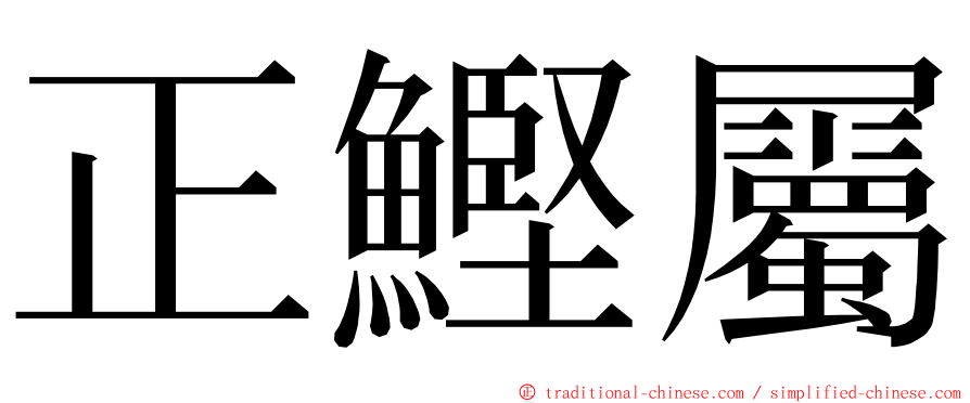正鰹屬 ming font