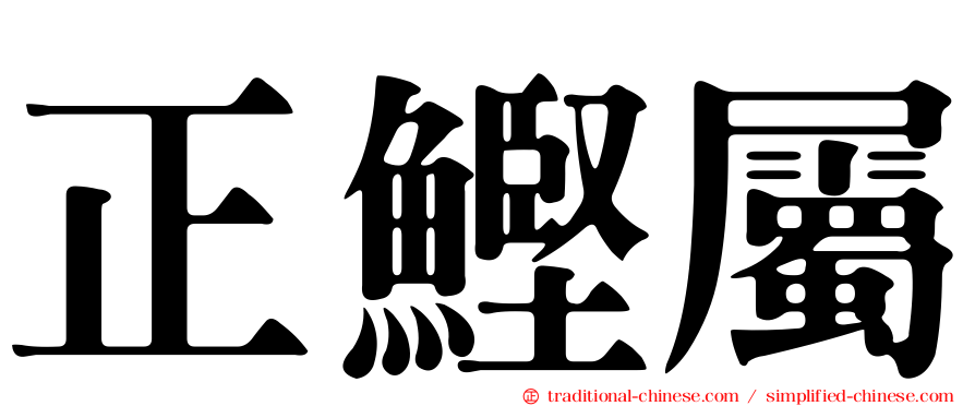 正鰹屬