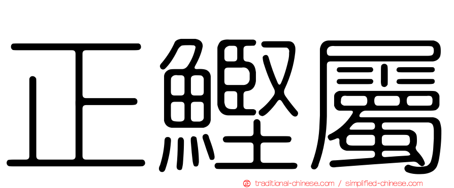正鰹屬