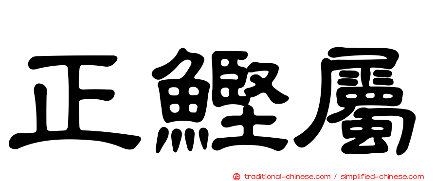 正鰹屬