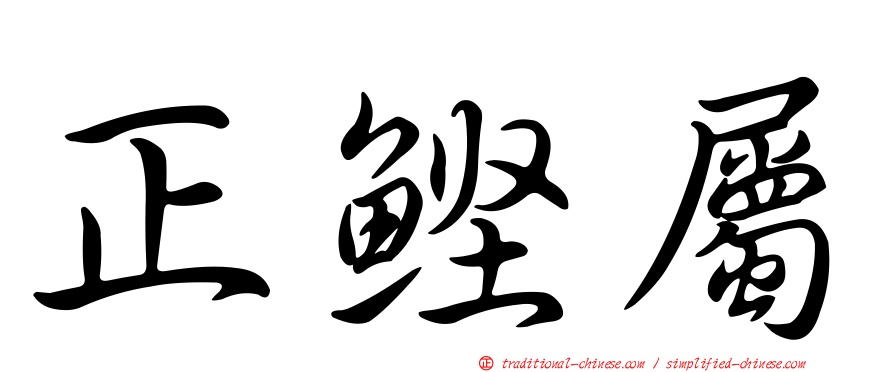 正鰹屬