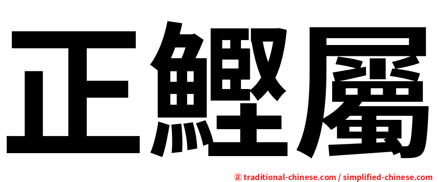 正鰹屬
