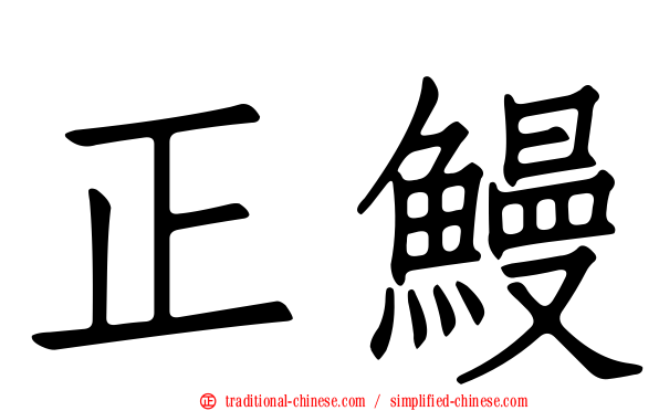 正鰻