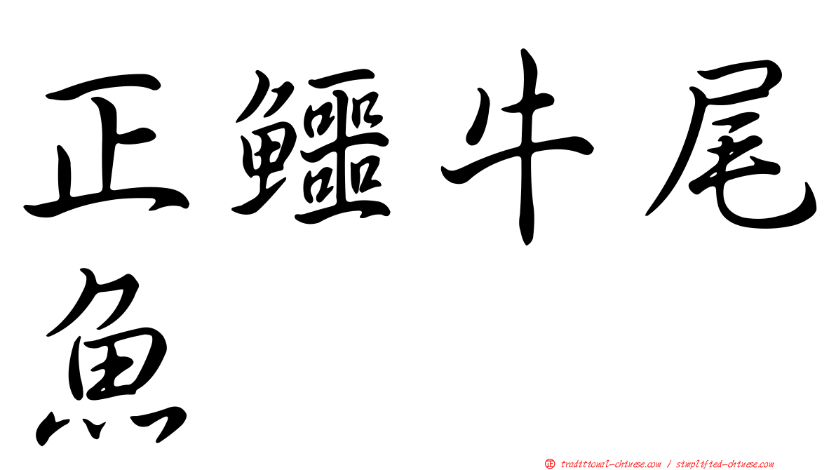 正鱷牛尾魚