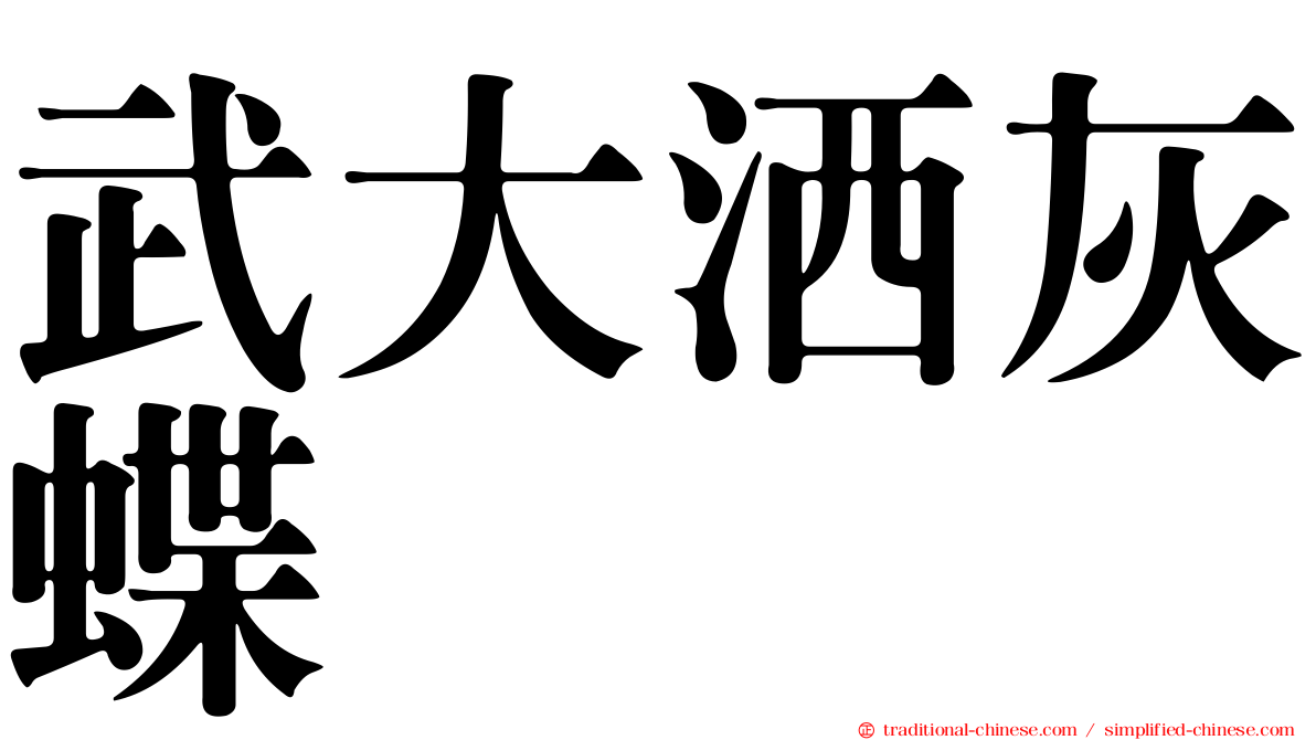 武大洒灰蝶