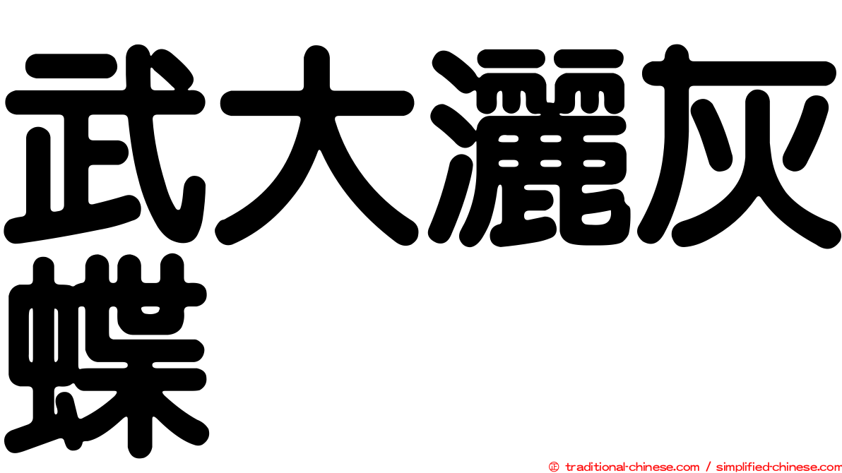 武大灑灰蝶