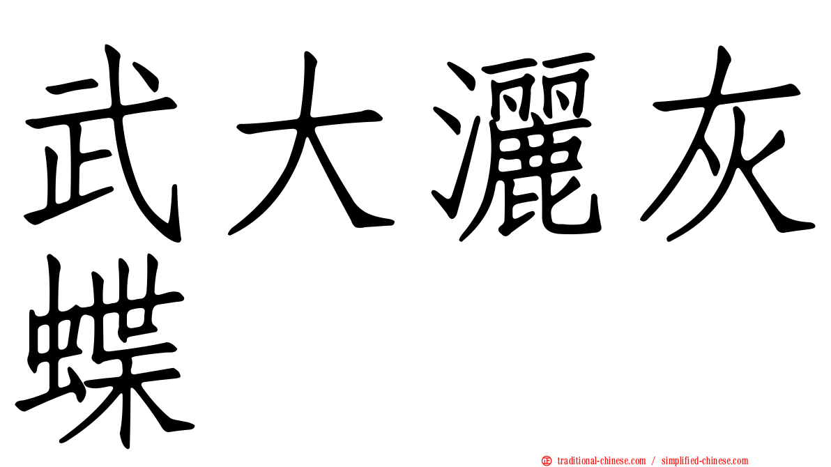 武大灑灰蝶