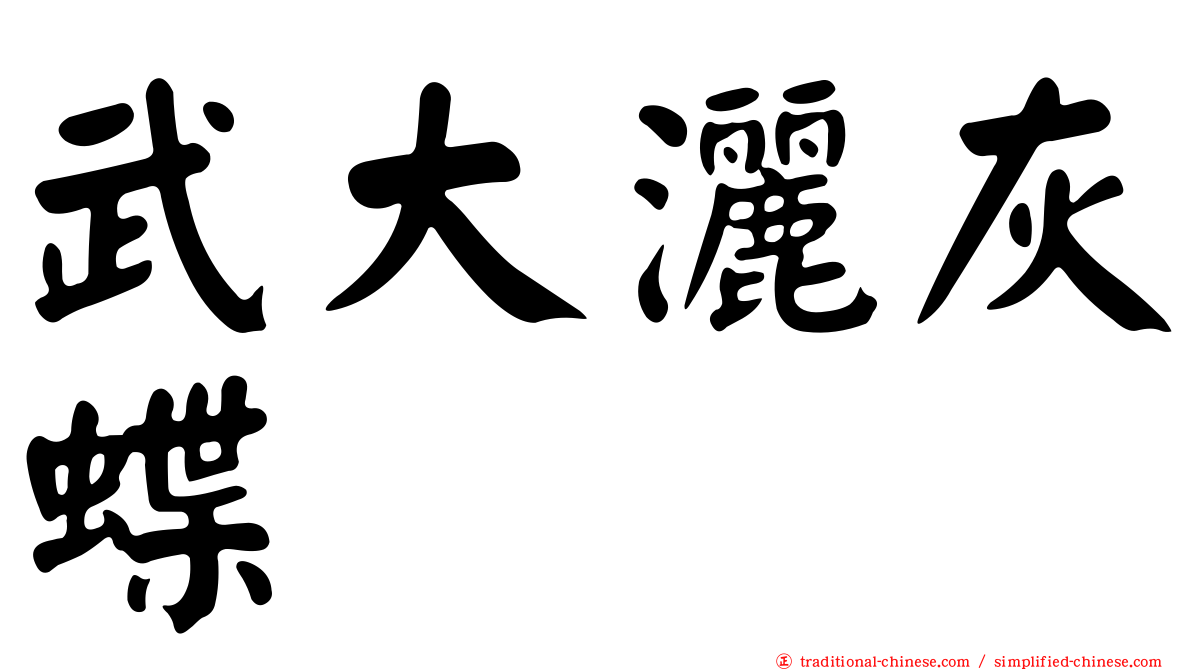 武大灑灰蝶
