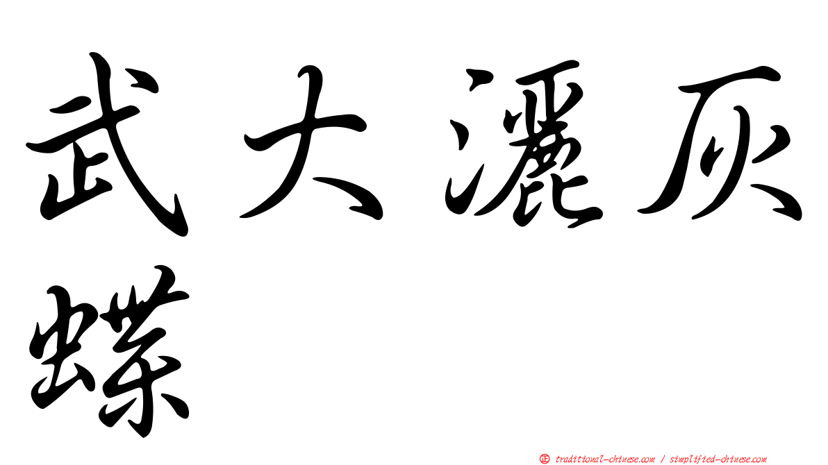 武大灑灰蝶
