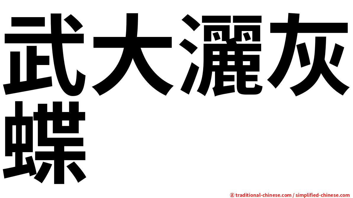 武大灑灰蝶