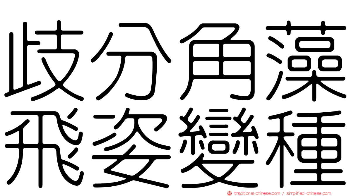 歧分角藻飛姿變種
