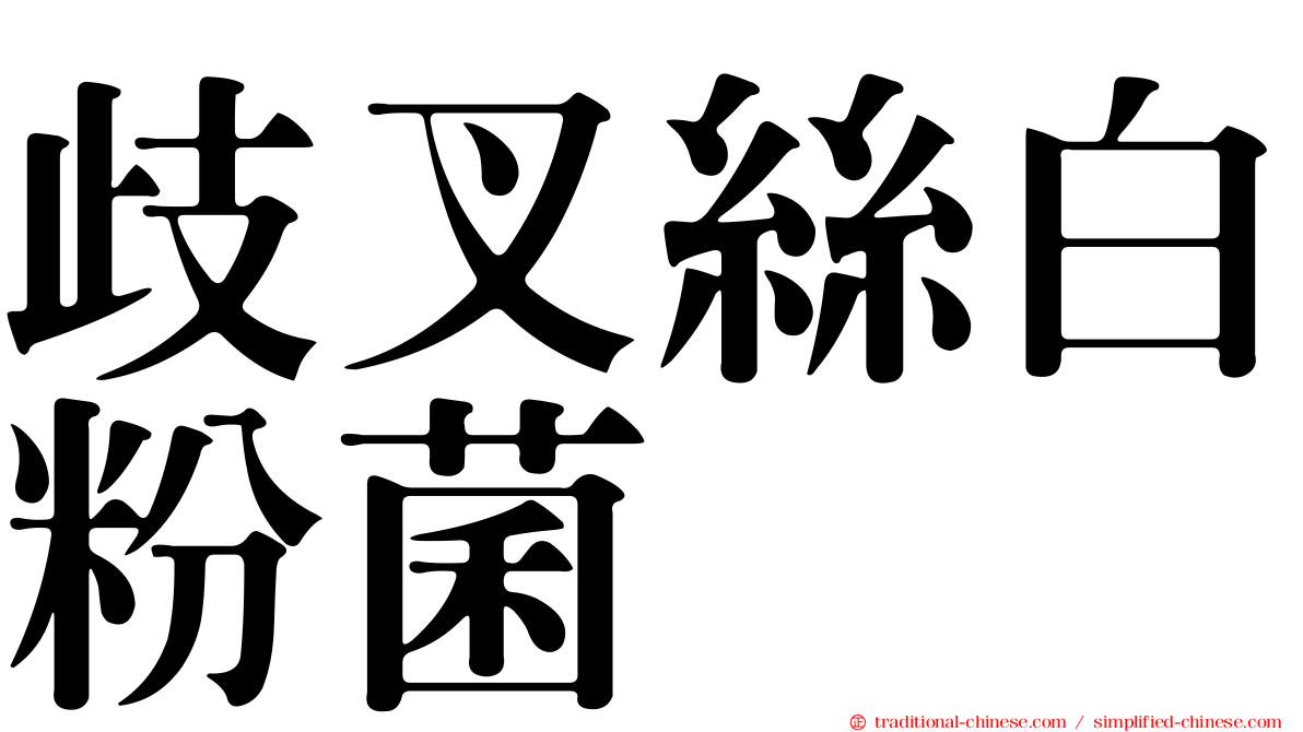 歧叉絲白粉菌