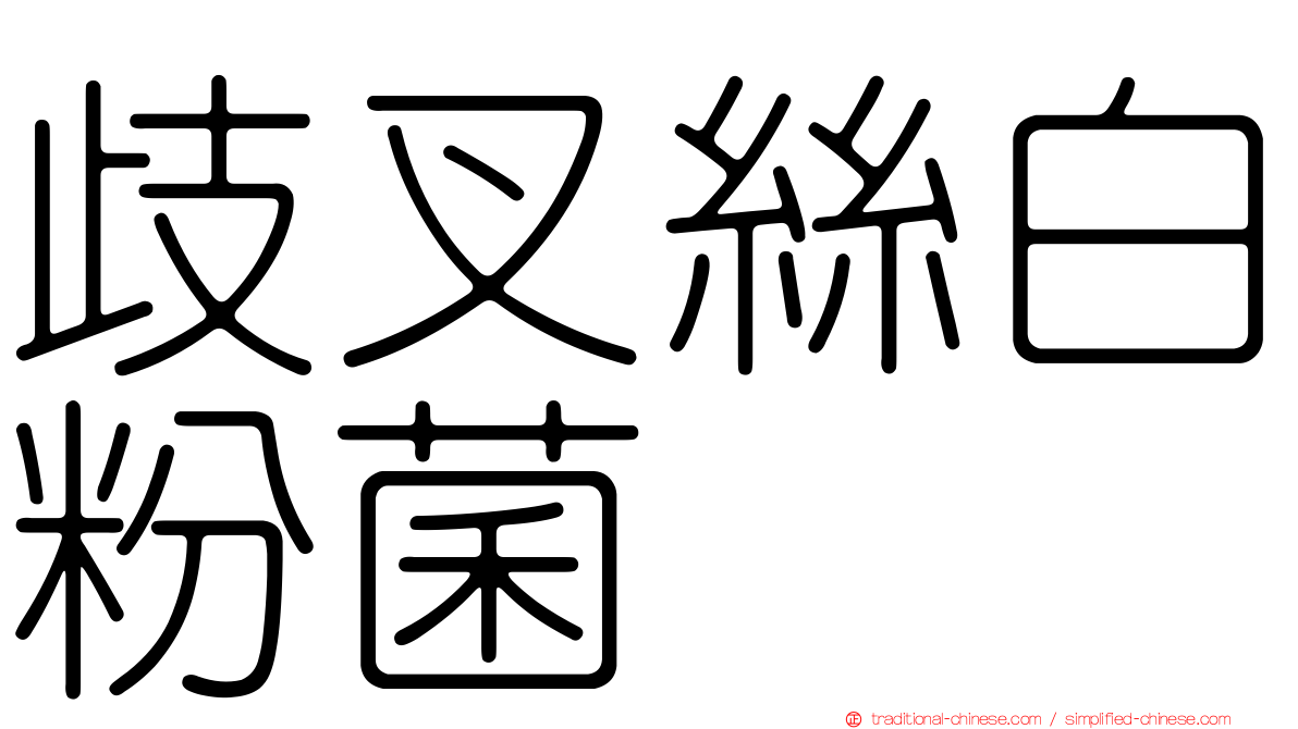 歧叉絲白粉菌