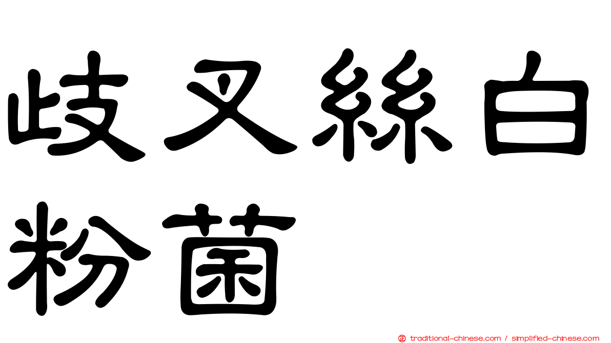 歧叉絲白粉菌