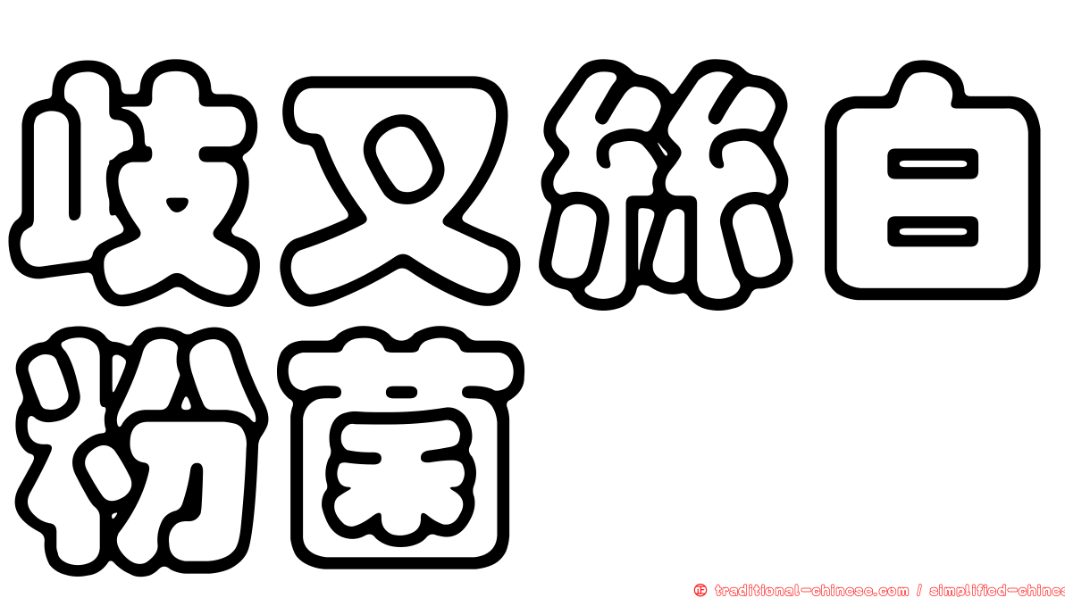 歧叉絲白粉菌