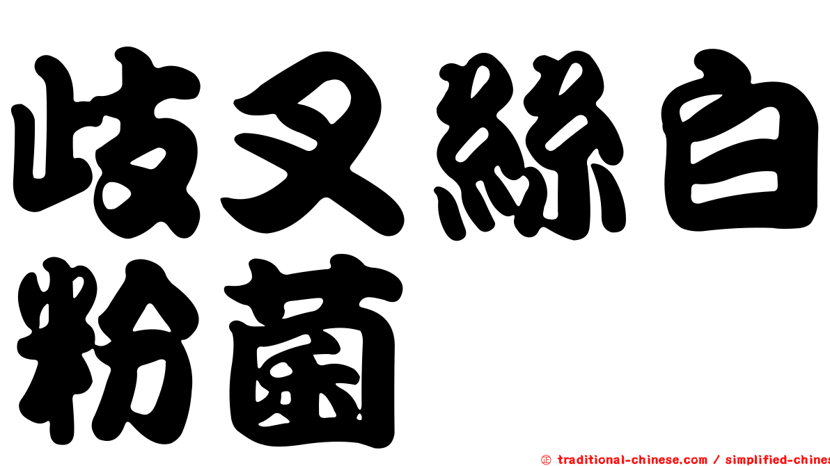 歧叉絲白粉菌