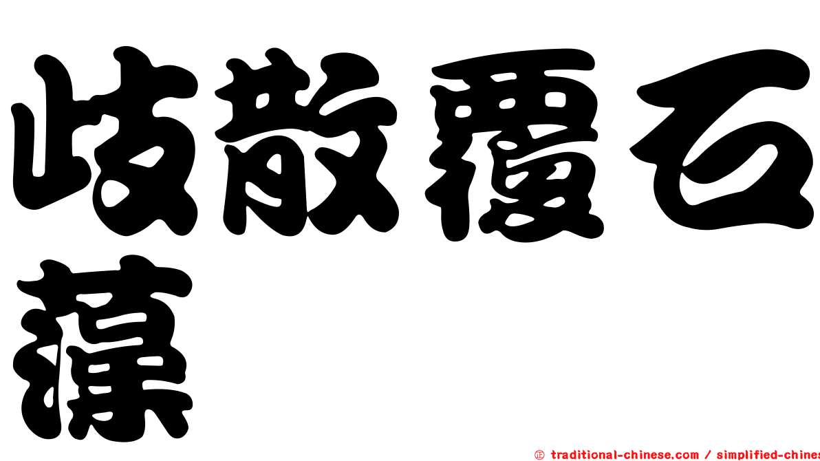歧散覆石藻
