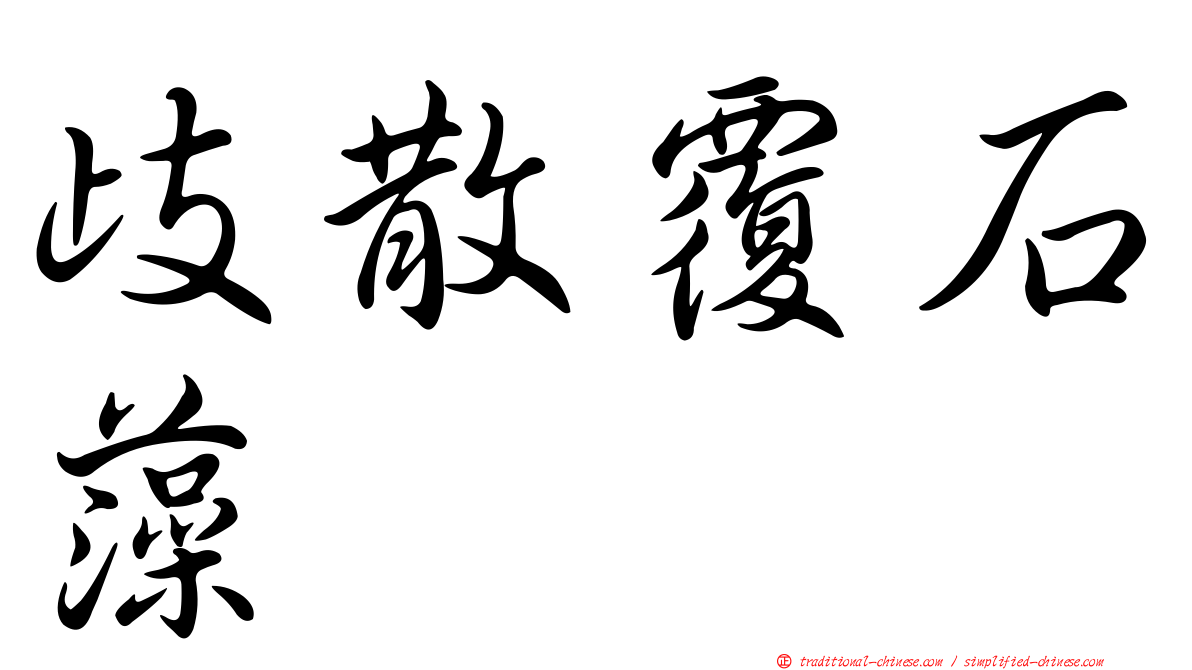 歧散覆石藻