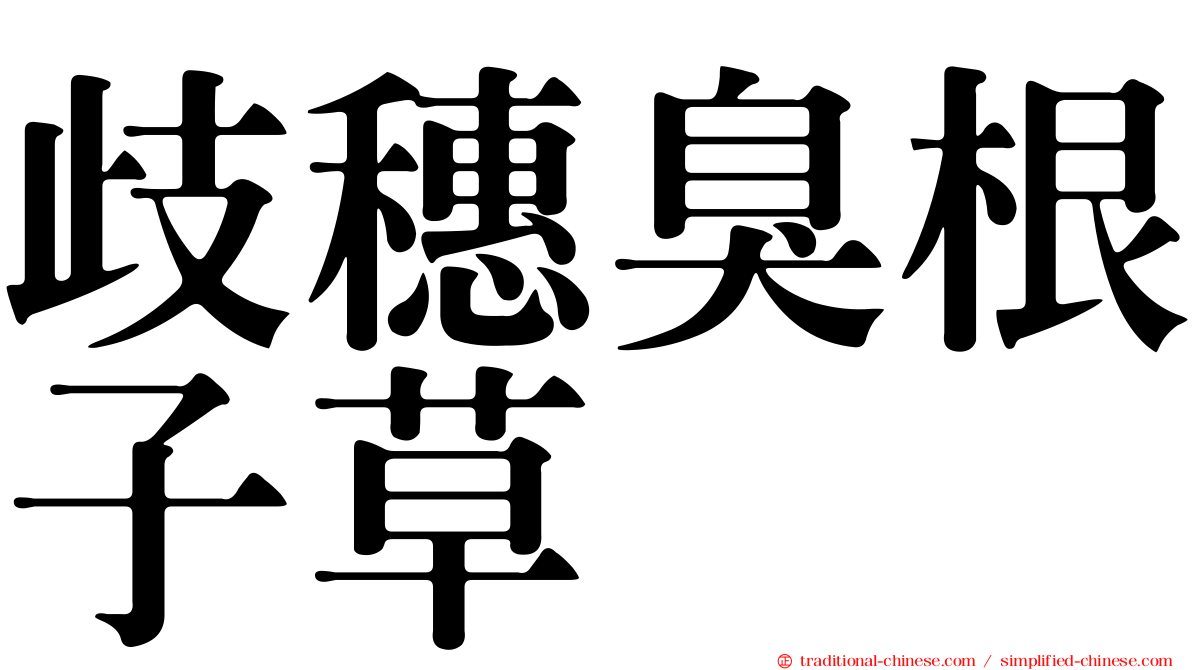 歧穗臭根子草