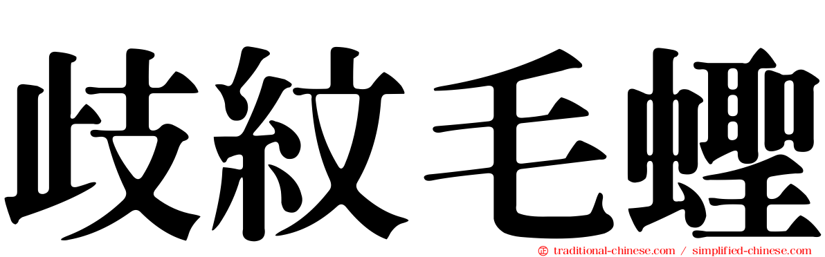 歧紋毛蟶