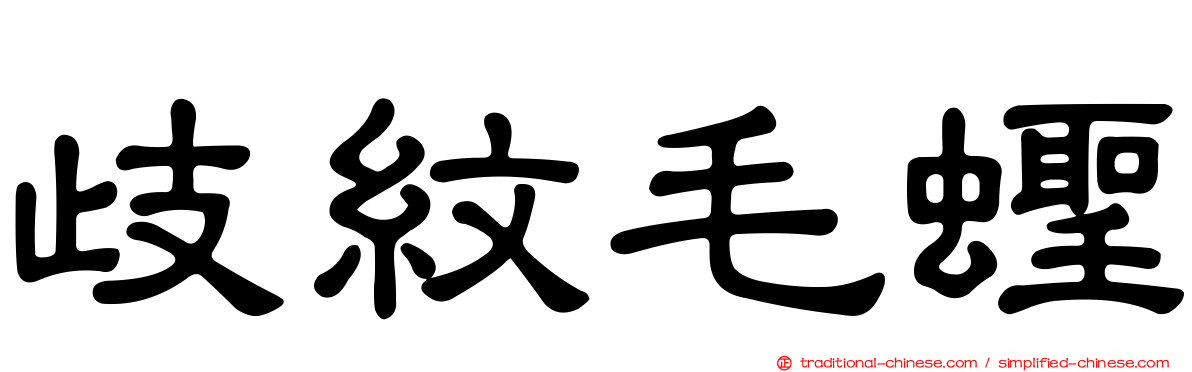 歧紋毛蟶