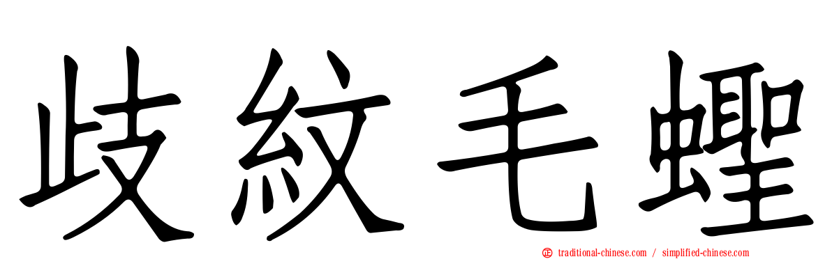 歧紋毛蟶