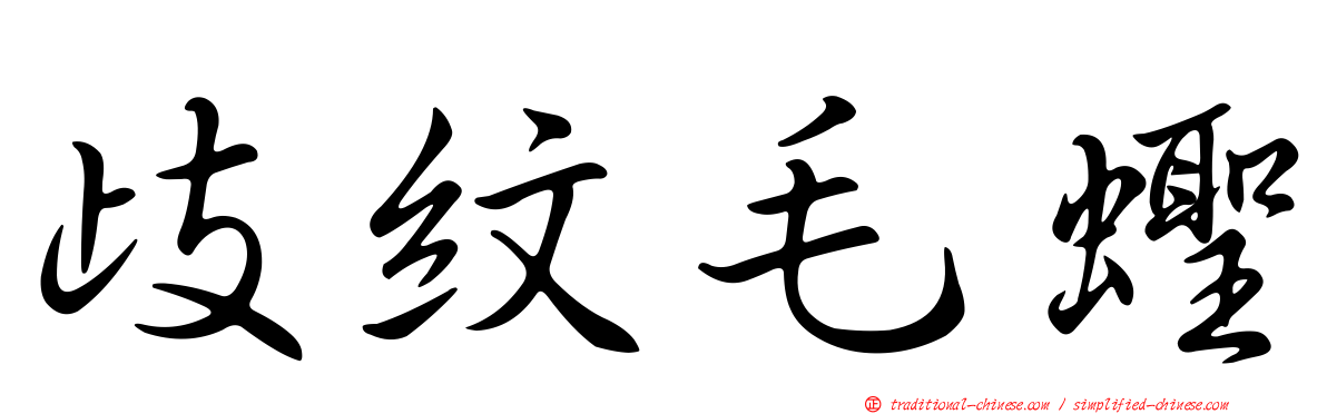 歧紋毛蟶