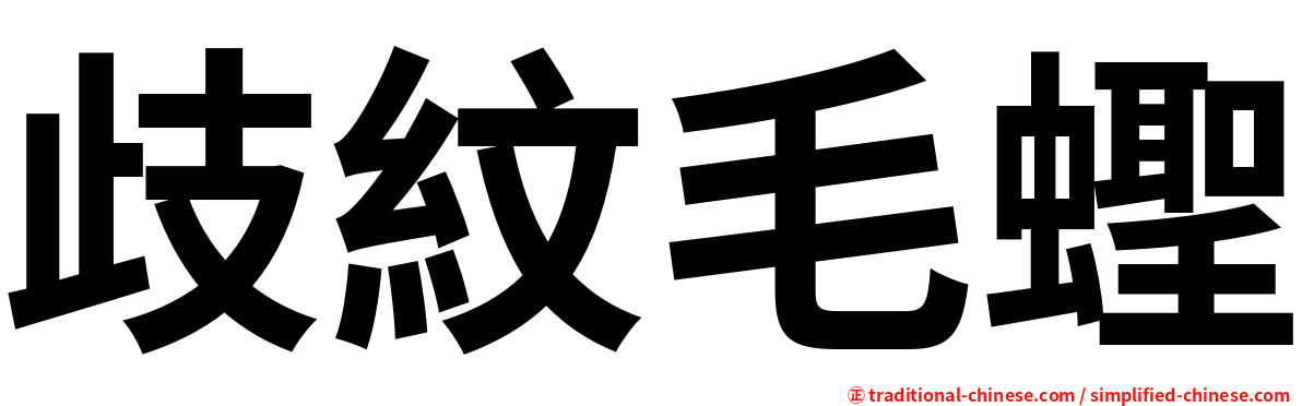 歧紋毛蟶