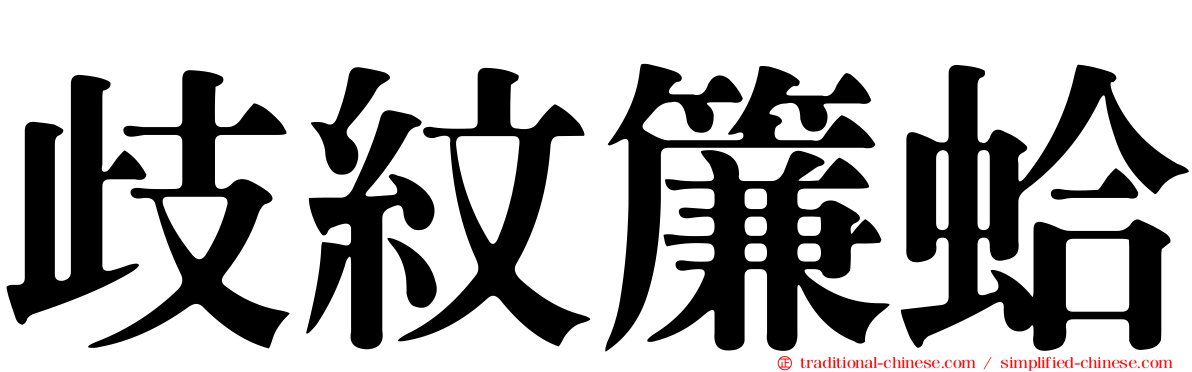歧紋簾蛤