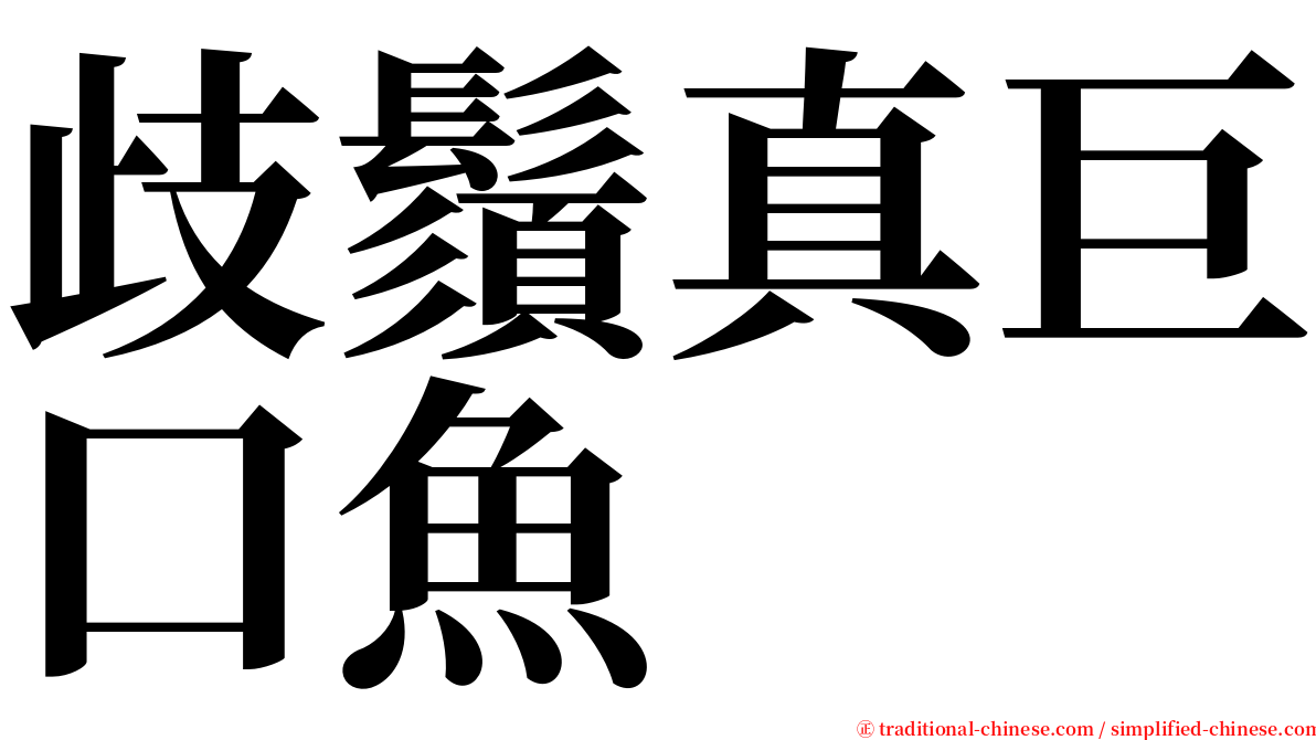 歧鬚真巨口魚 serif font