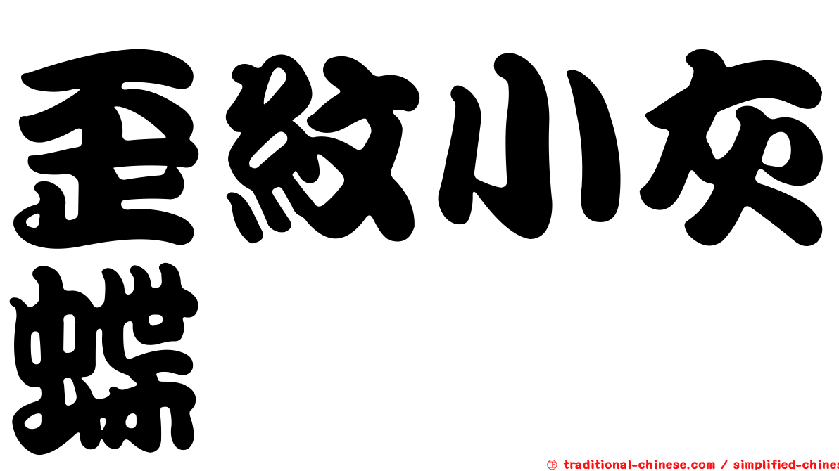歪紋小灰蝶