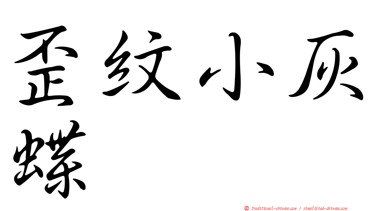 歪紋小灰蝶