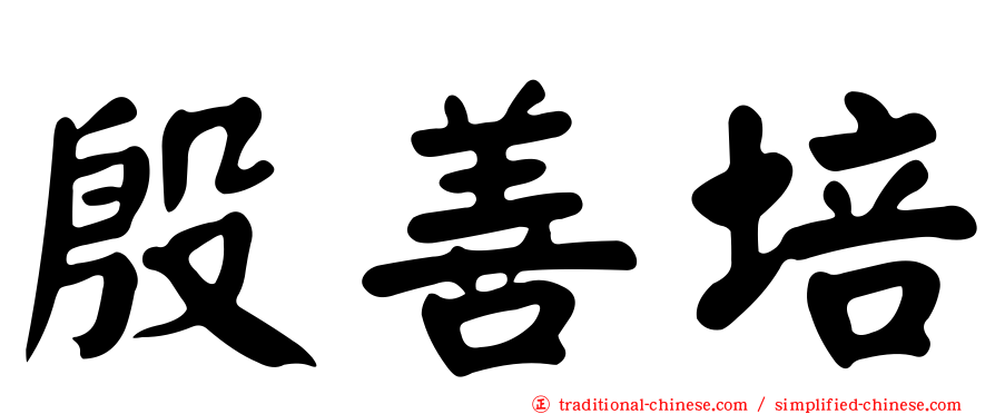 殷善培