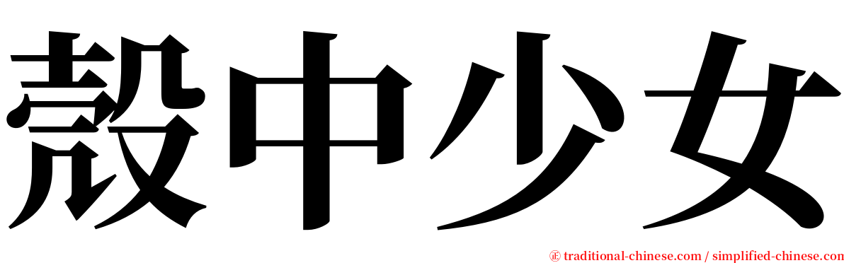 殼中少女 serif font