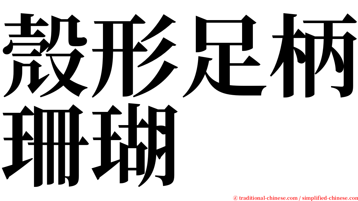 殼形足柄珊瑚 serif font