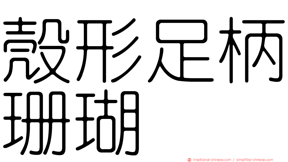 殼形足柄珊瑚
