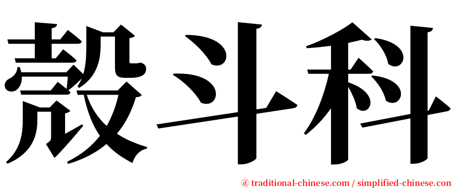 殼斗科 serif font