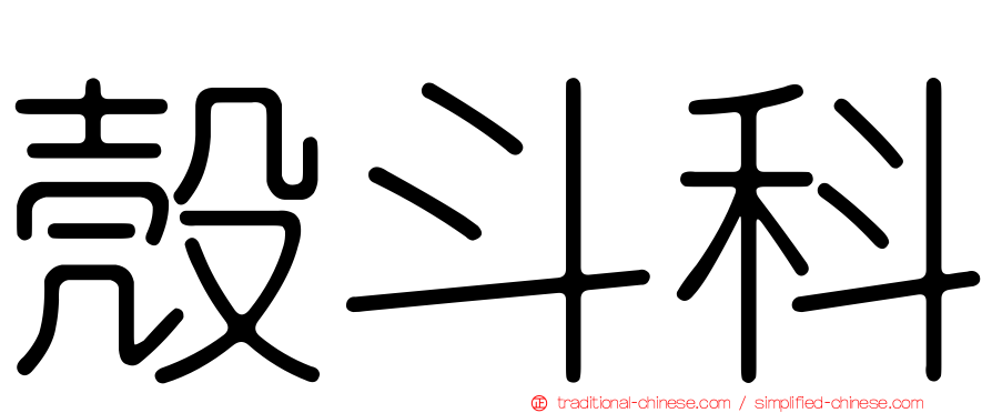 殼斗科