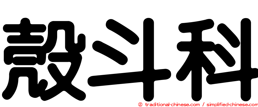 殼斗科