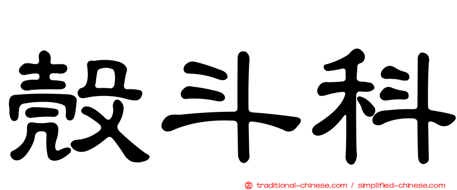 殼斗科