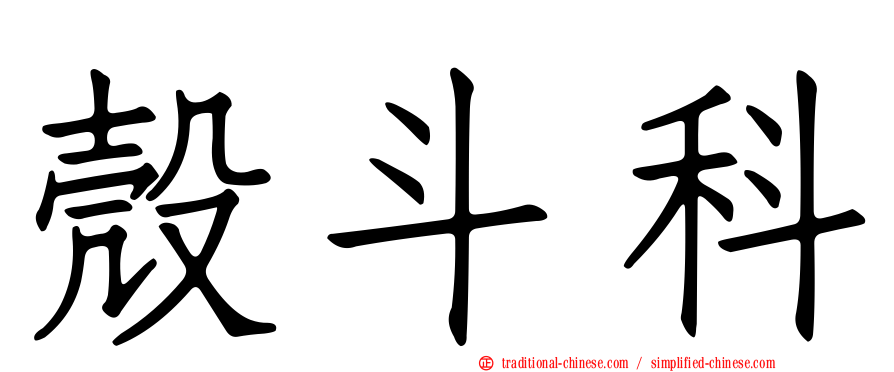 殼斗科