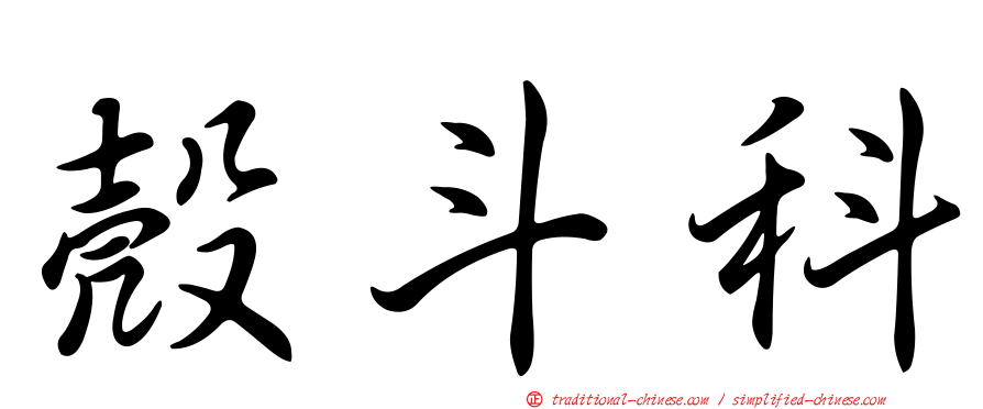 殼斗科