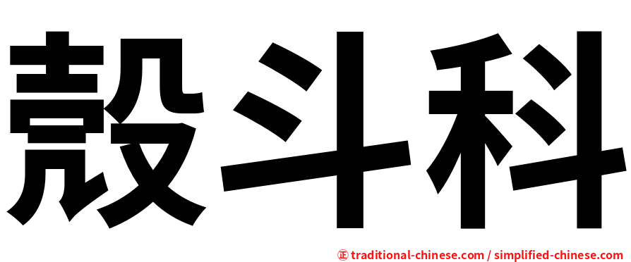 殼斗科