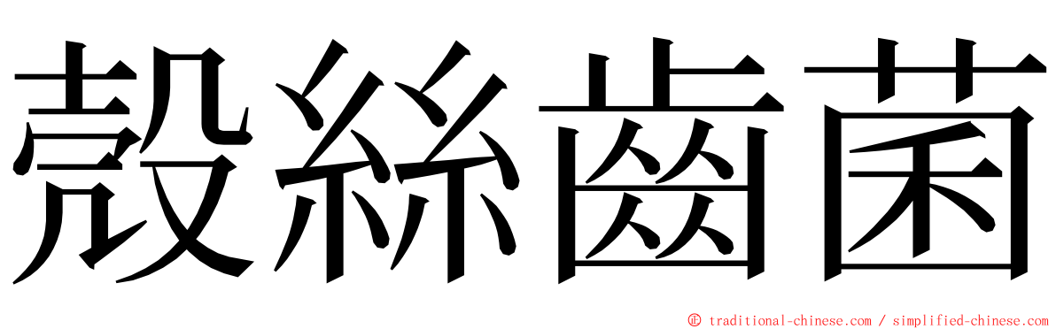 殼絲齒菌 ming font