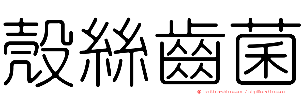 殼絲齒菌