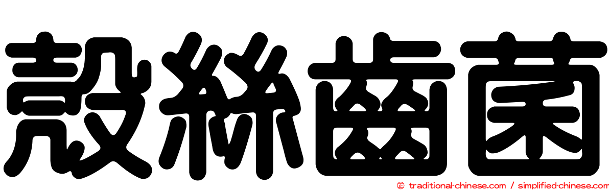 殼絲齒菌