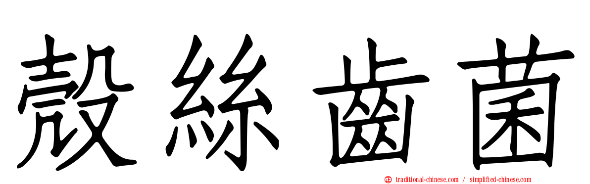 殼絲齒菌